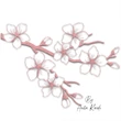 Cherry blossom branch machine embroidery design featuring delicate pink sakura flowers, elegant branches and unopened buds