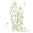 Minimalist wildflower embroidery pattern featuring tall floral stems, delicate leaves and modern meadow flowers