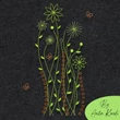 Whimsical wildflower meadow machine embroidery design with green botanical outlines and orange decorative accents