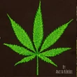 Cannabis