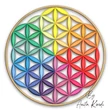 Flower of Life rainbow sacred geometry embroidery design