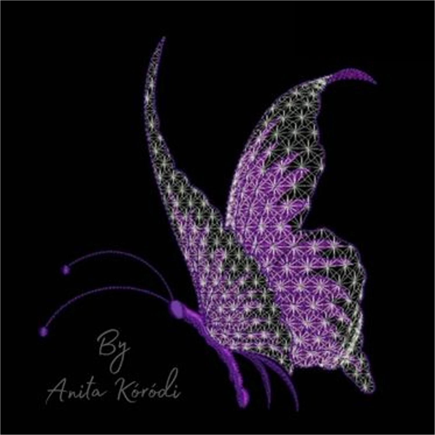 butterfly modern embroidery