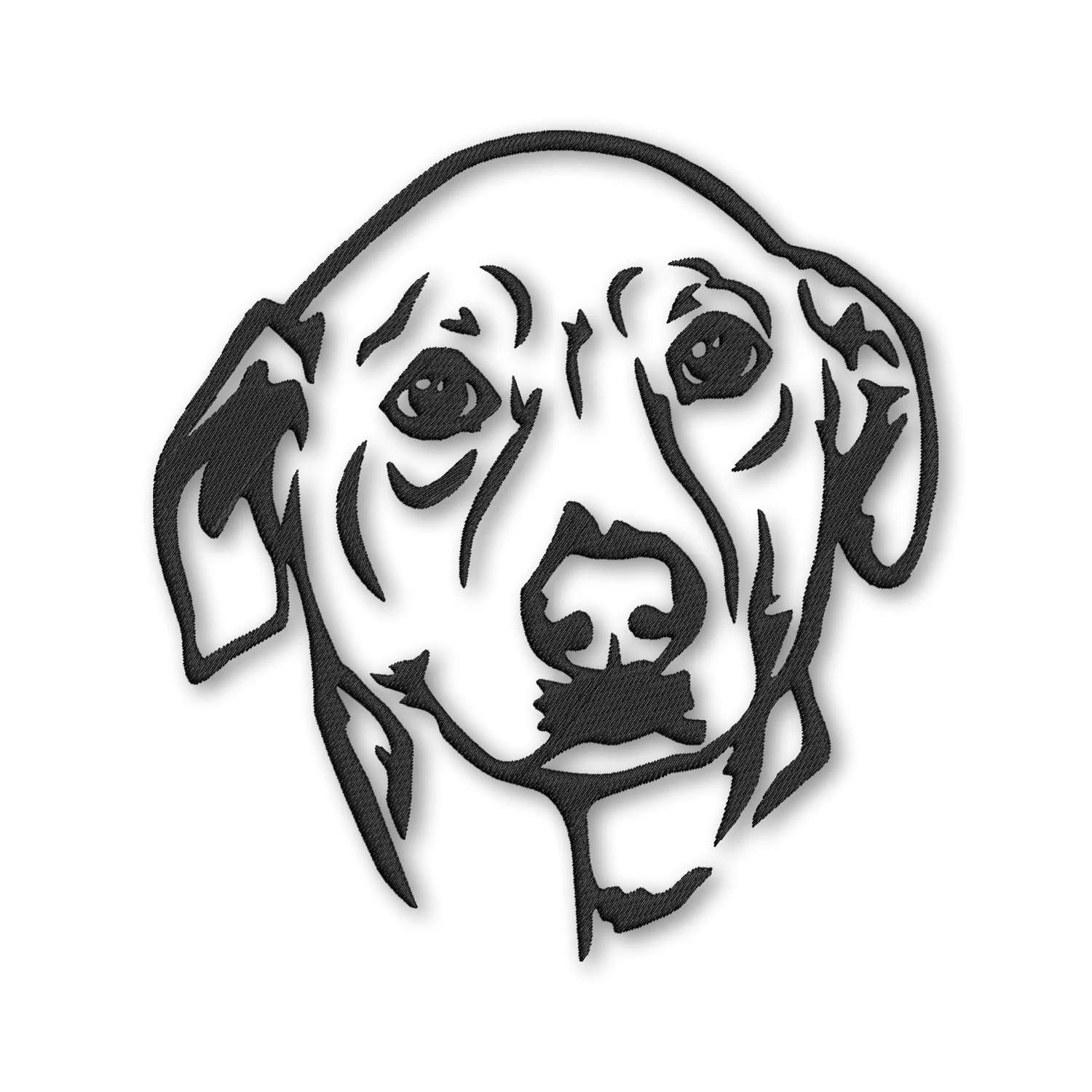 Labrador Head