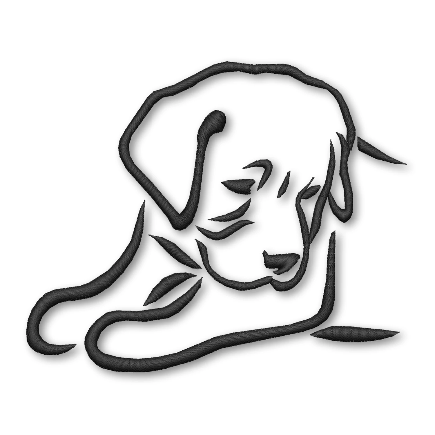 Labrador Retriever Puppy