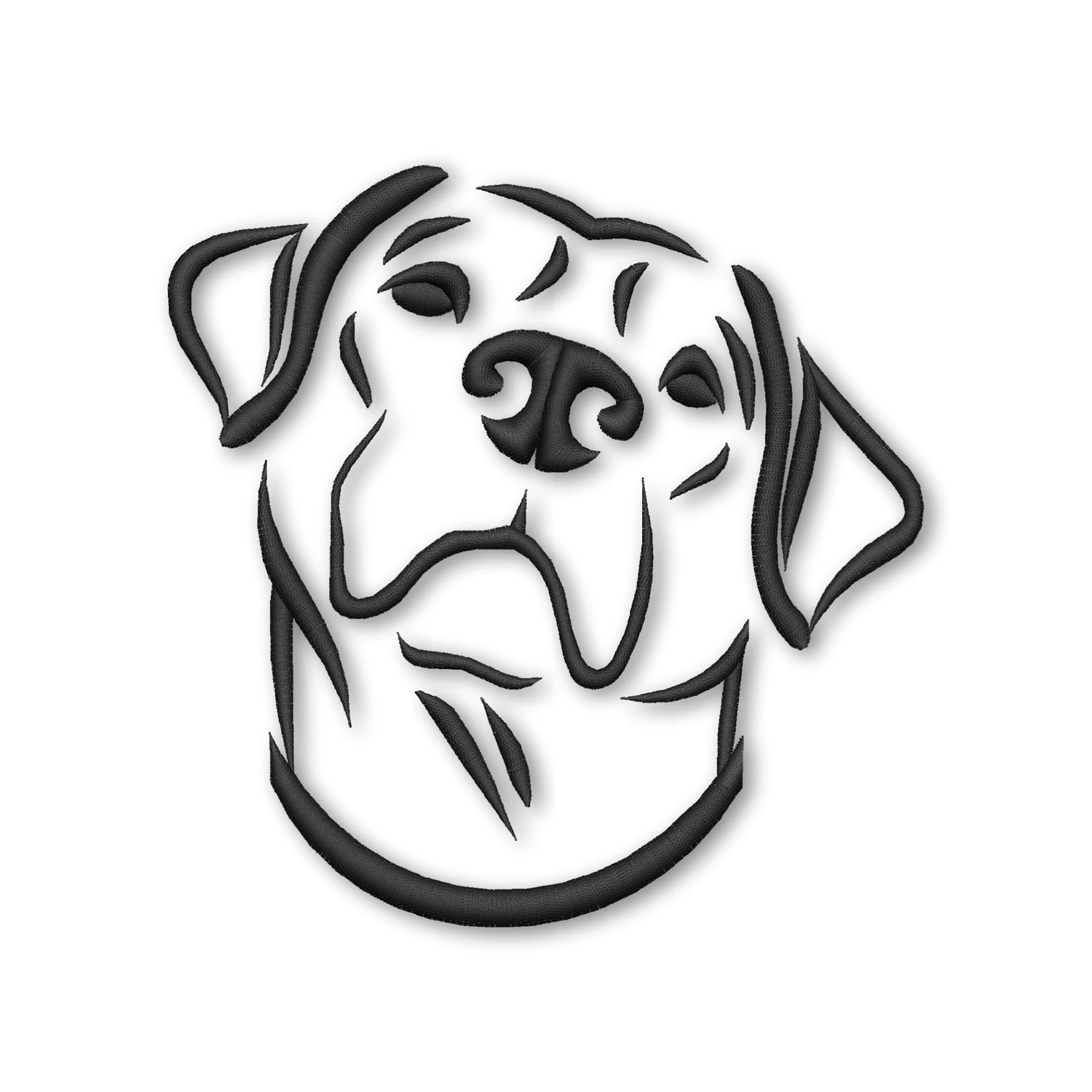 Labrador retriever dog Head