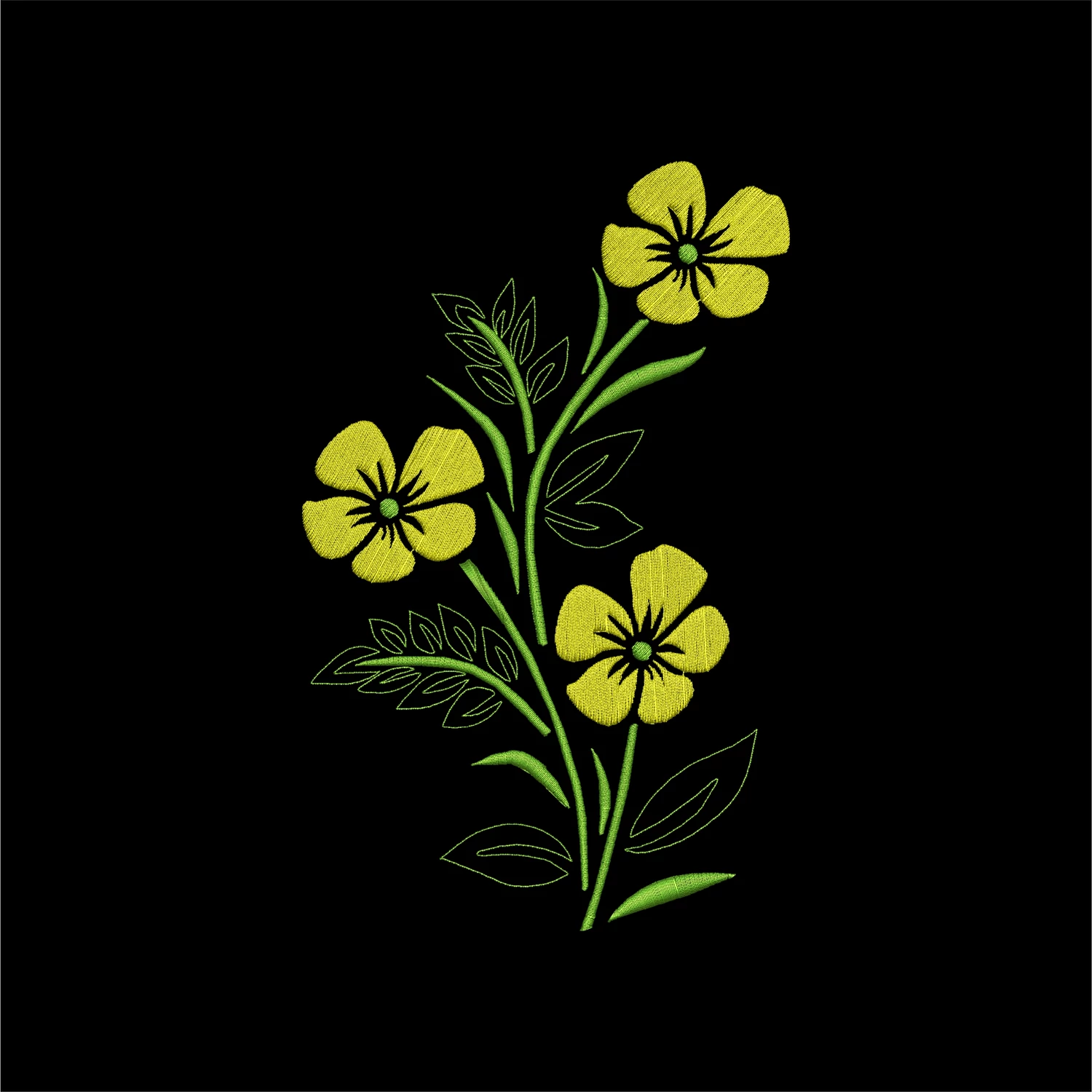 Buttercup Flower