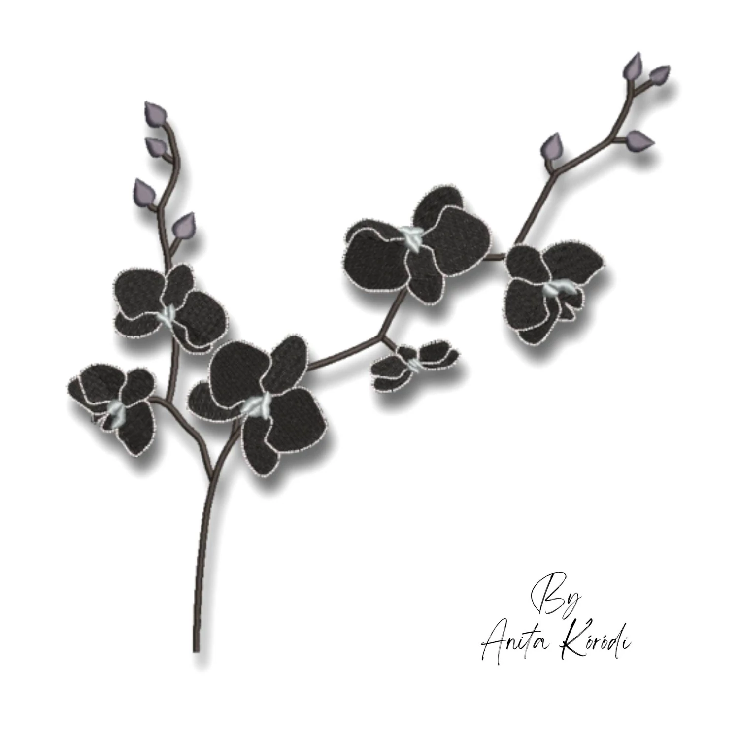 Orchid branch