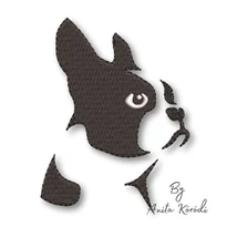 Boston Terrier