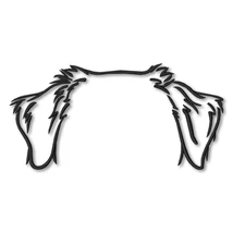 Australian Shepherd Dog Ear