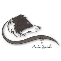 border collie embroidery