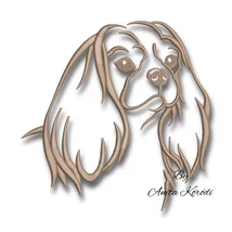 Cavalier King Charles