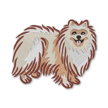 Pomeranian Dog