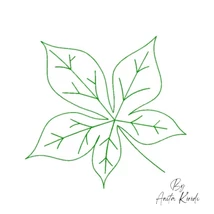 Leaf outline