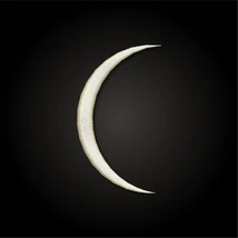 Moon v2